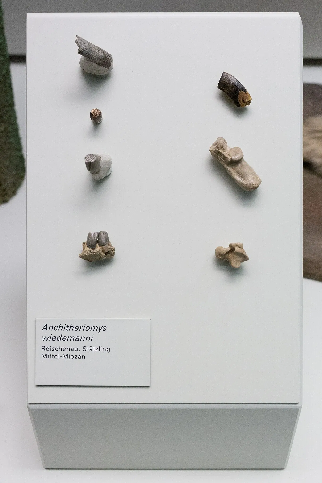 S-Planetarium and Nature Museum