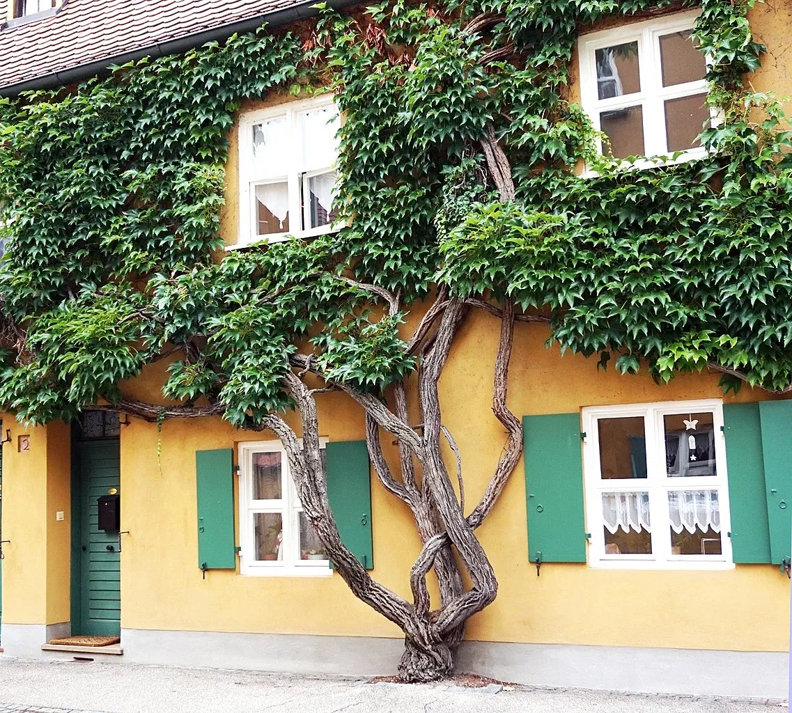 Fuggerei Housing Complex