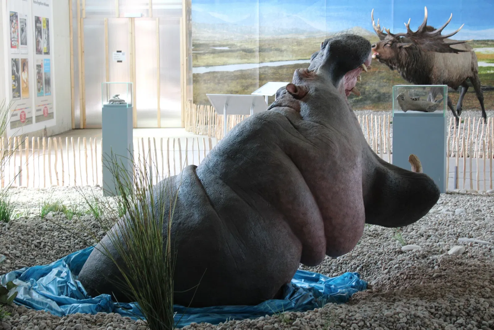 Reiss Engelhorn Museum