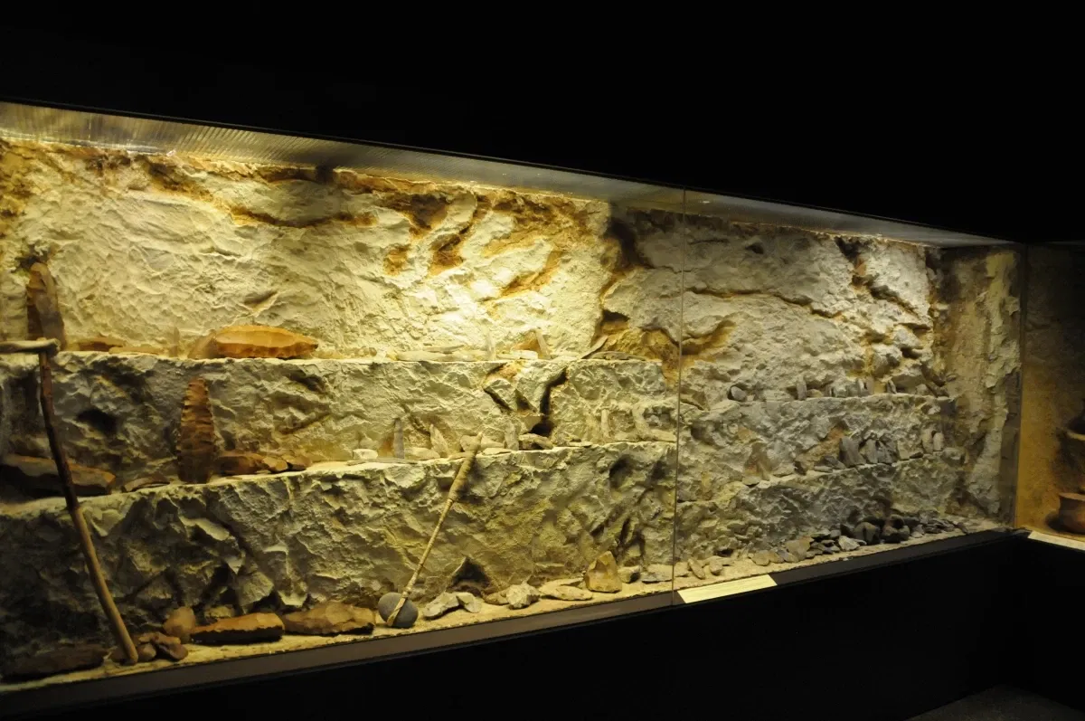 Reiss-Engelhorn-Musea