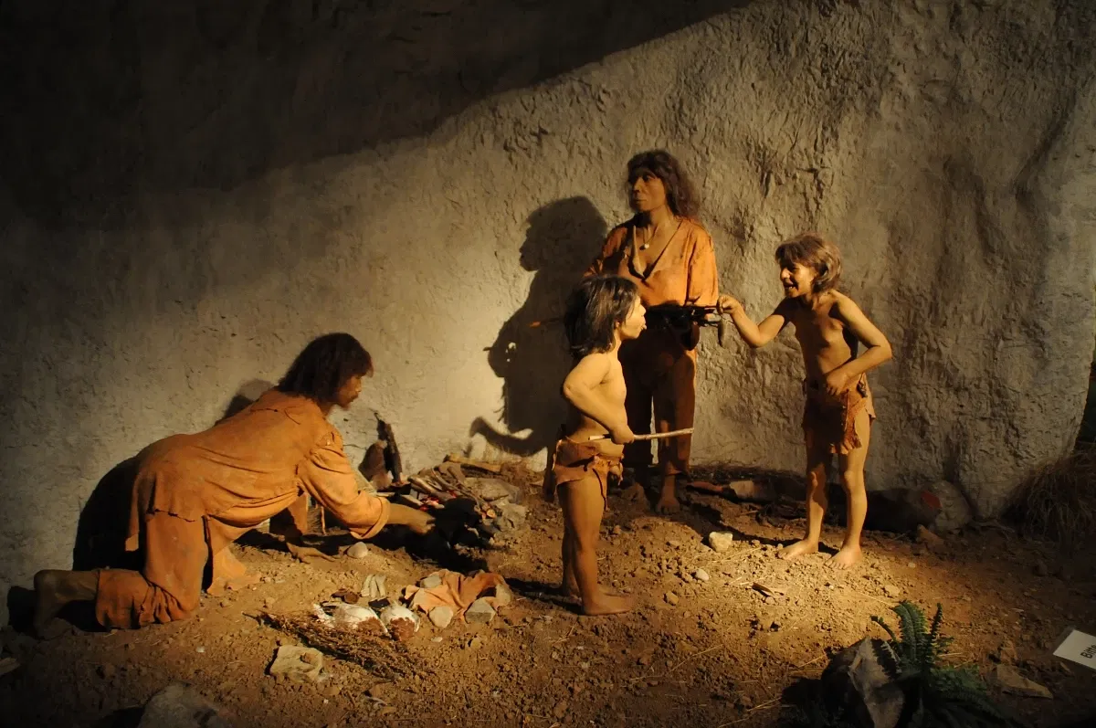 Reiss Engelhorn Museum