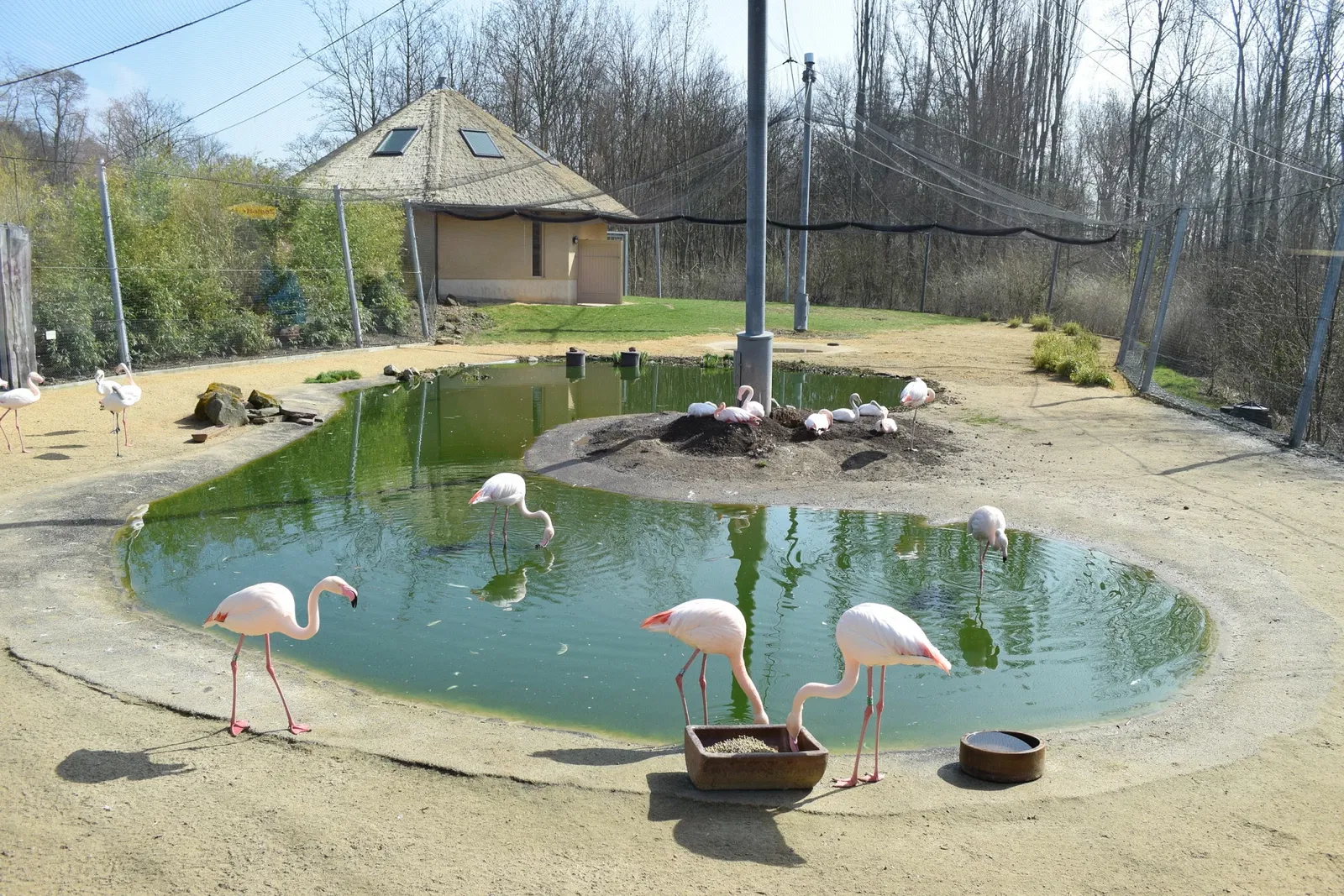 Thüringer Zoopark Erfurt