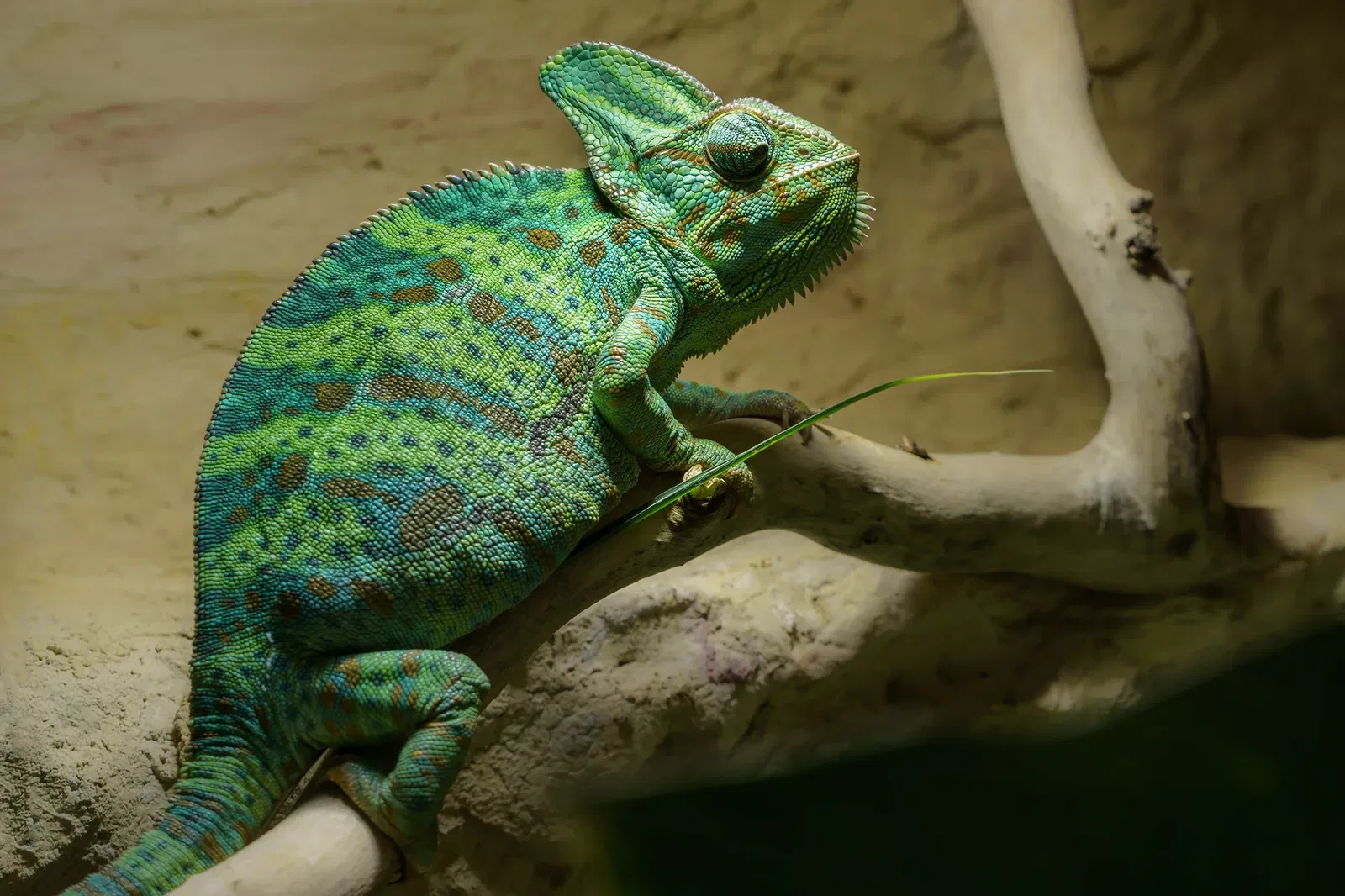 Thüringer Zoopark Erfurt