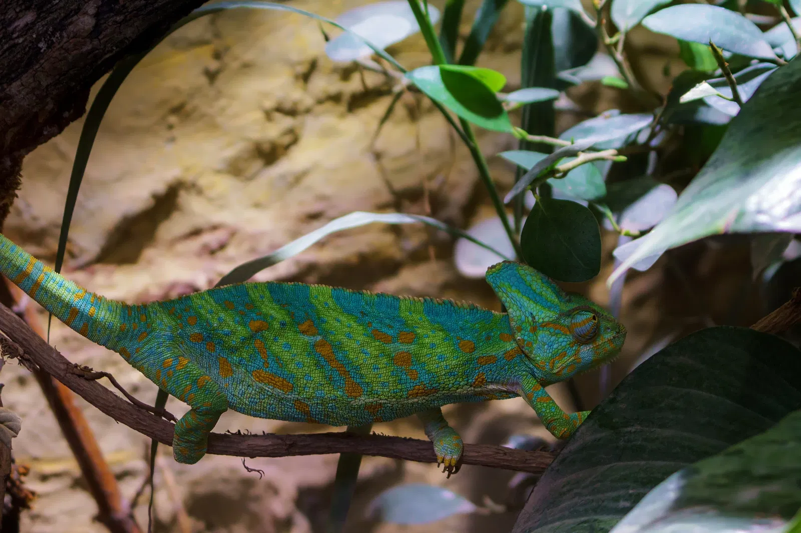 Thüringer Zoopark Erfurt