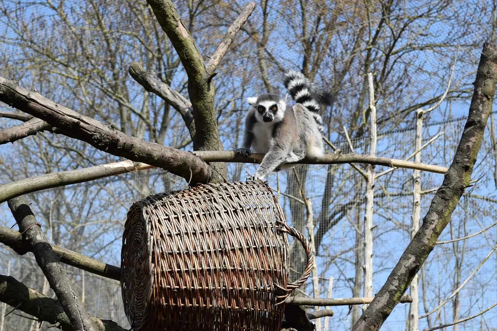 Thüringer Zoopark Erfurt