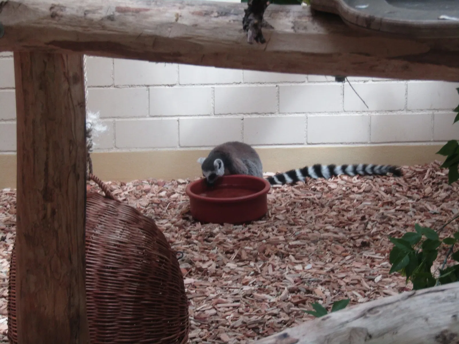 Thüringer Zoopark Erfurt