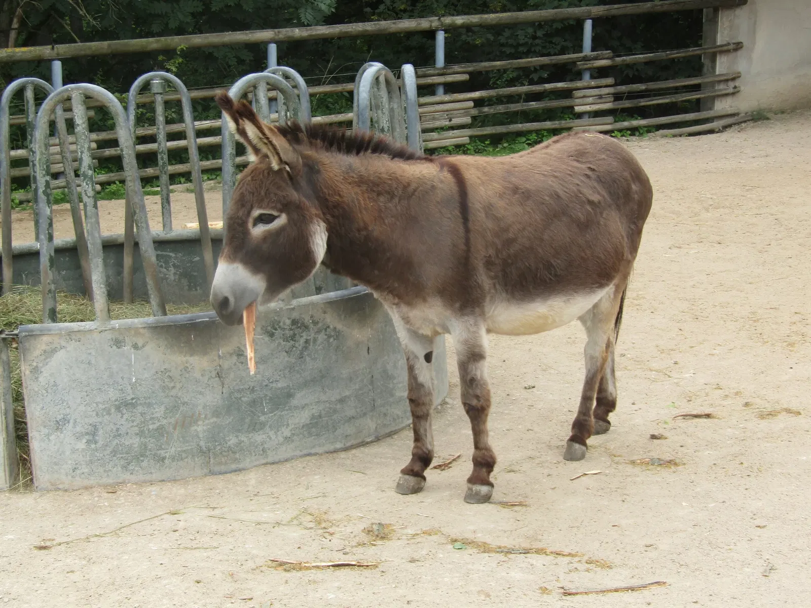 Thüringer Zoopark Erfurt