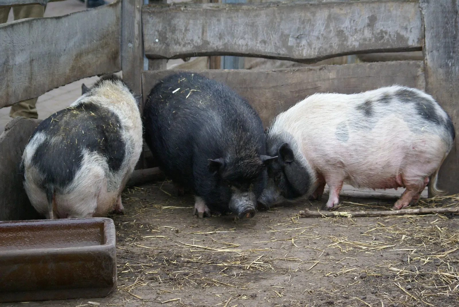 Thüringer Zoopark Erfurt