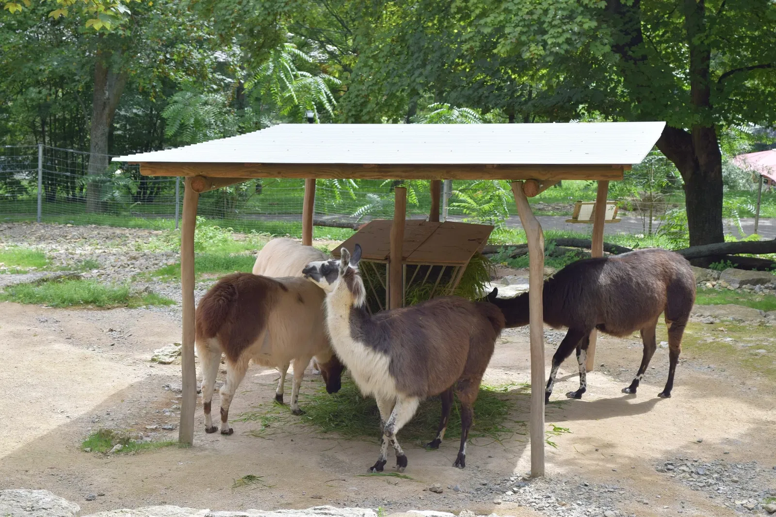 Thüringer Zoopark Erfurt