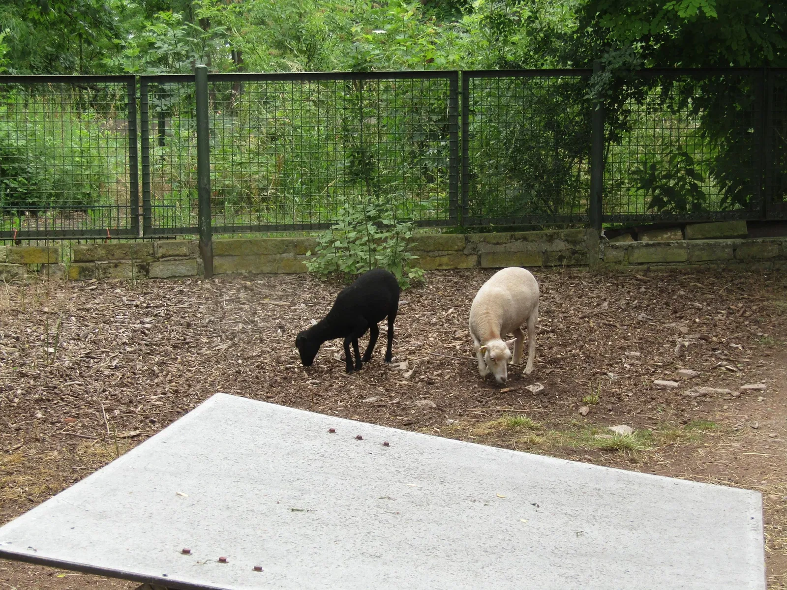 Thüringer Zoopark Erfurt