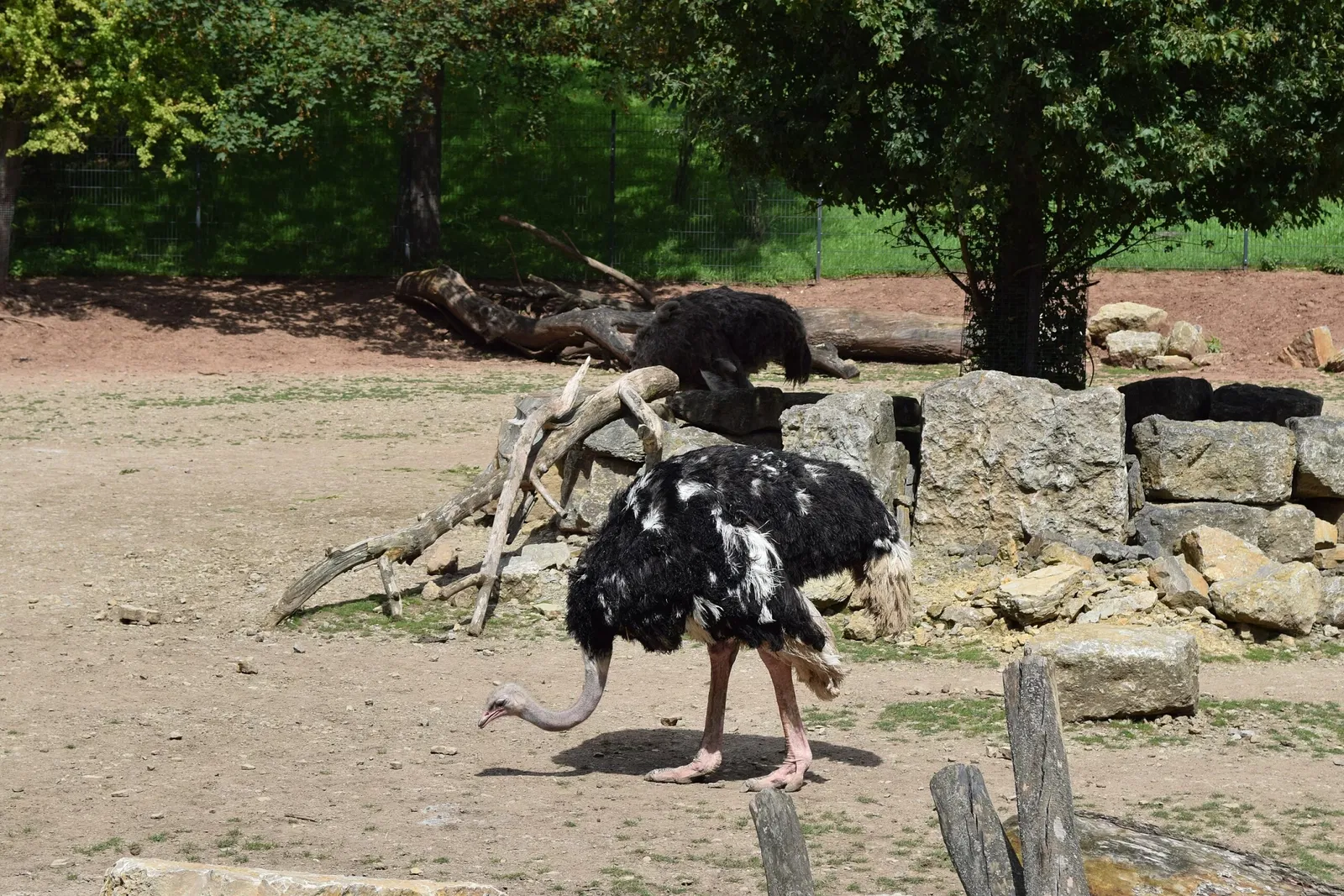 Thüringer Zoopark Erfurt
