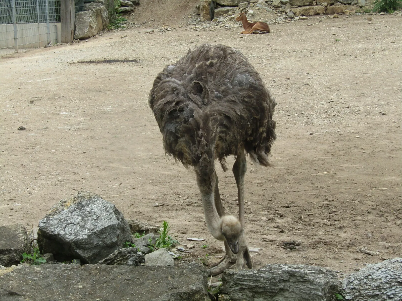 Thüringer Zoopark Erfurt