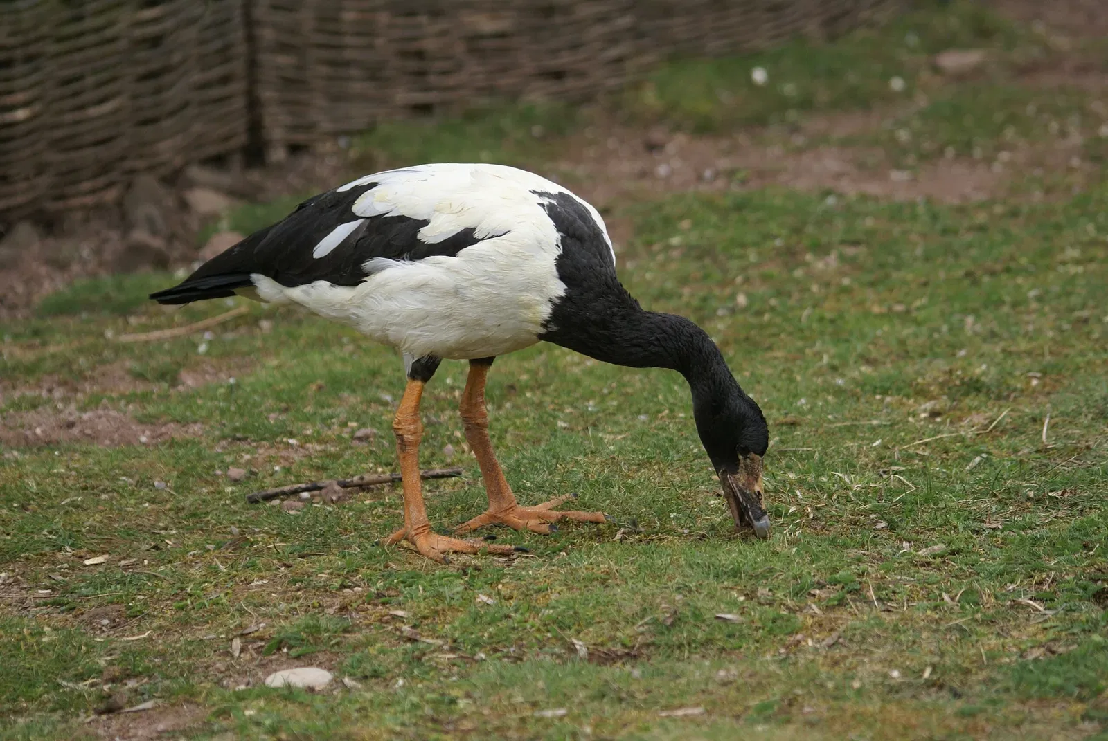Thüringer Zoopark Erfurt