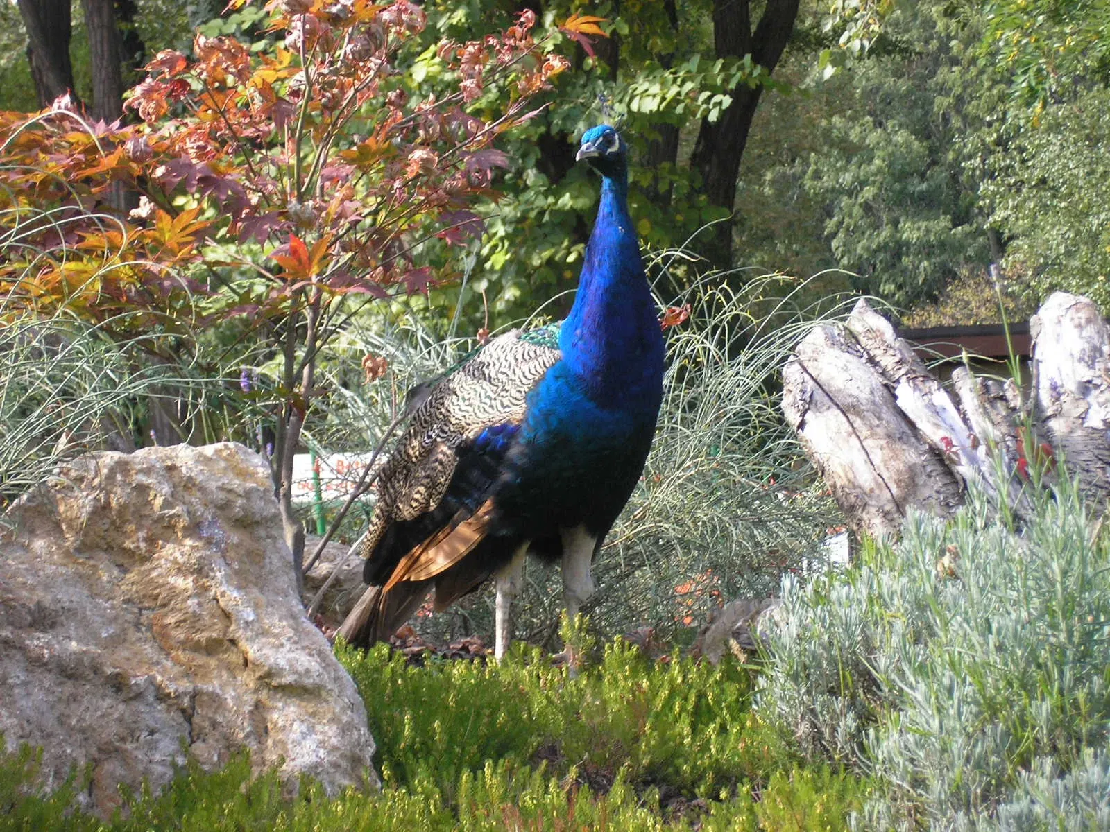 Thüringer Zoopark Erfurt