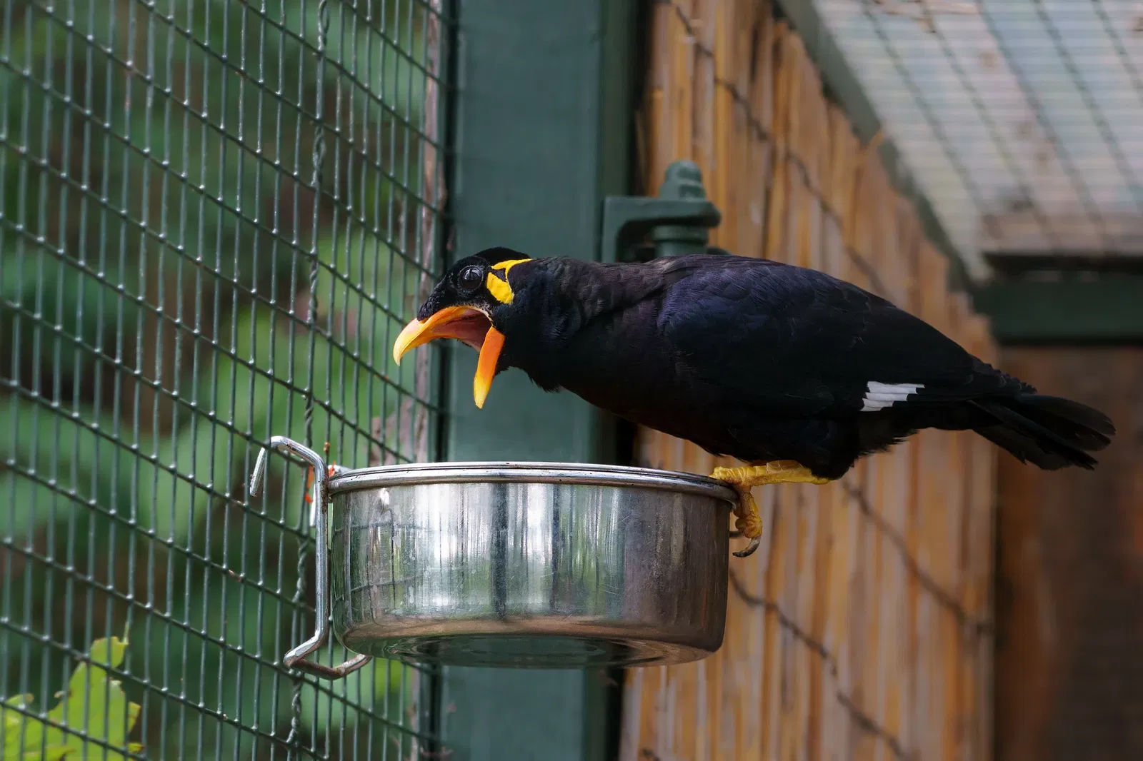 Thüringer Zoopark Erfurt