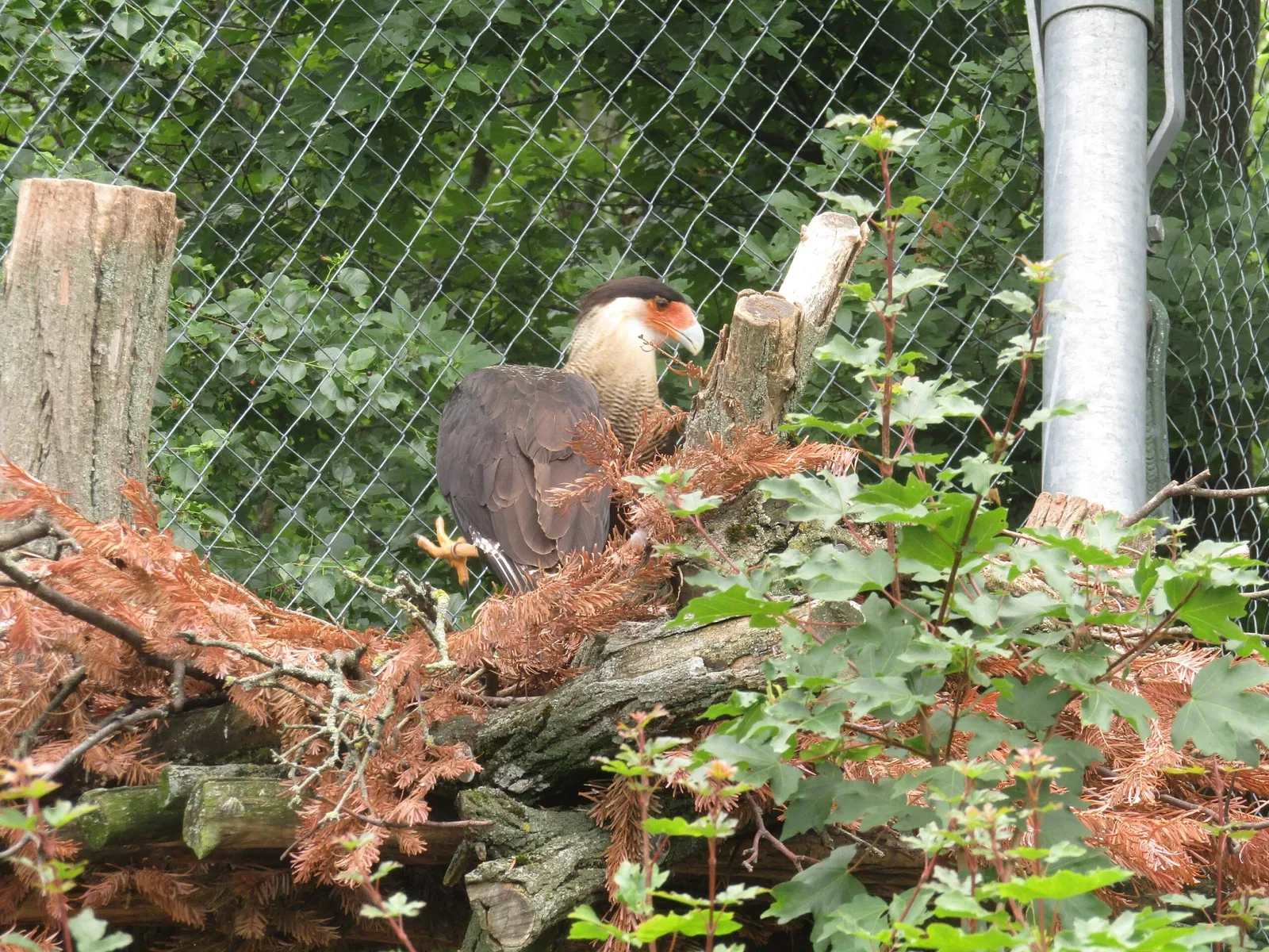 Thüringer Zoopark Erfurt