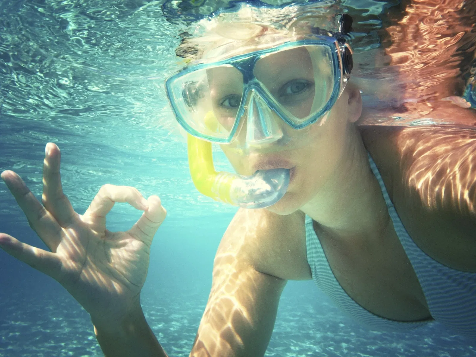 St. Augustine Aquarium