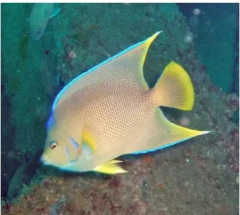 St. Augustine Aquarium