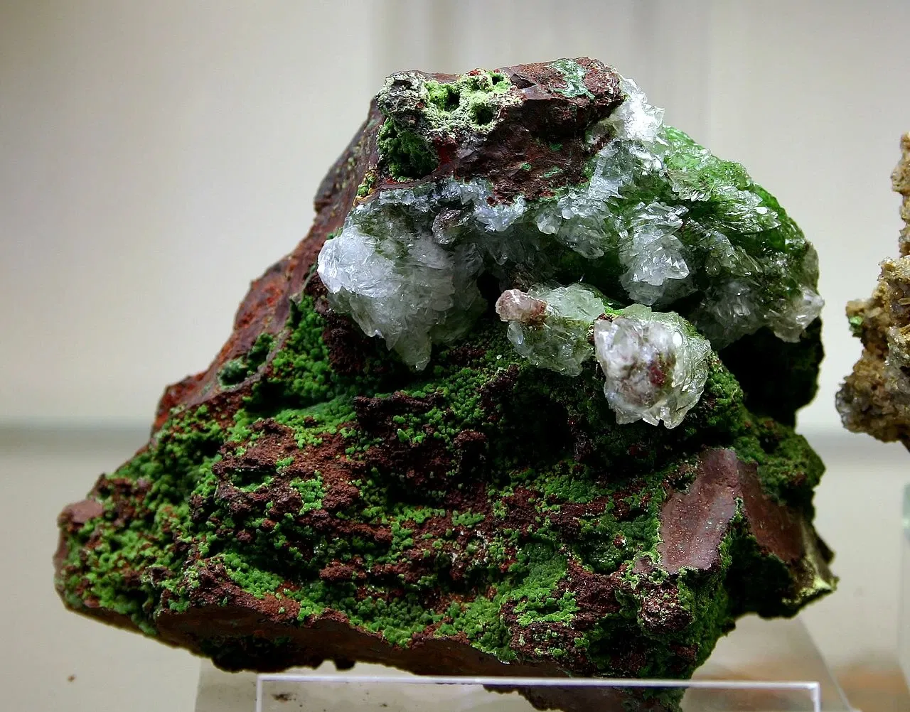 Mineralogisches Museum der Universität Bonn