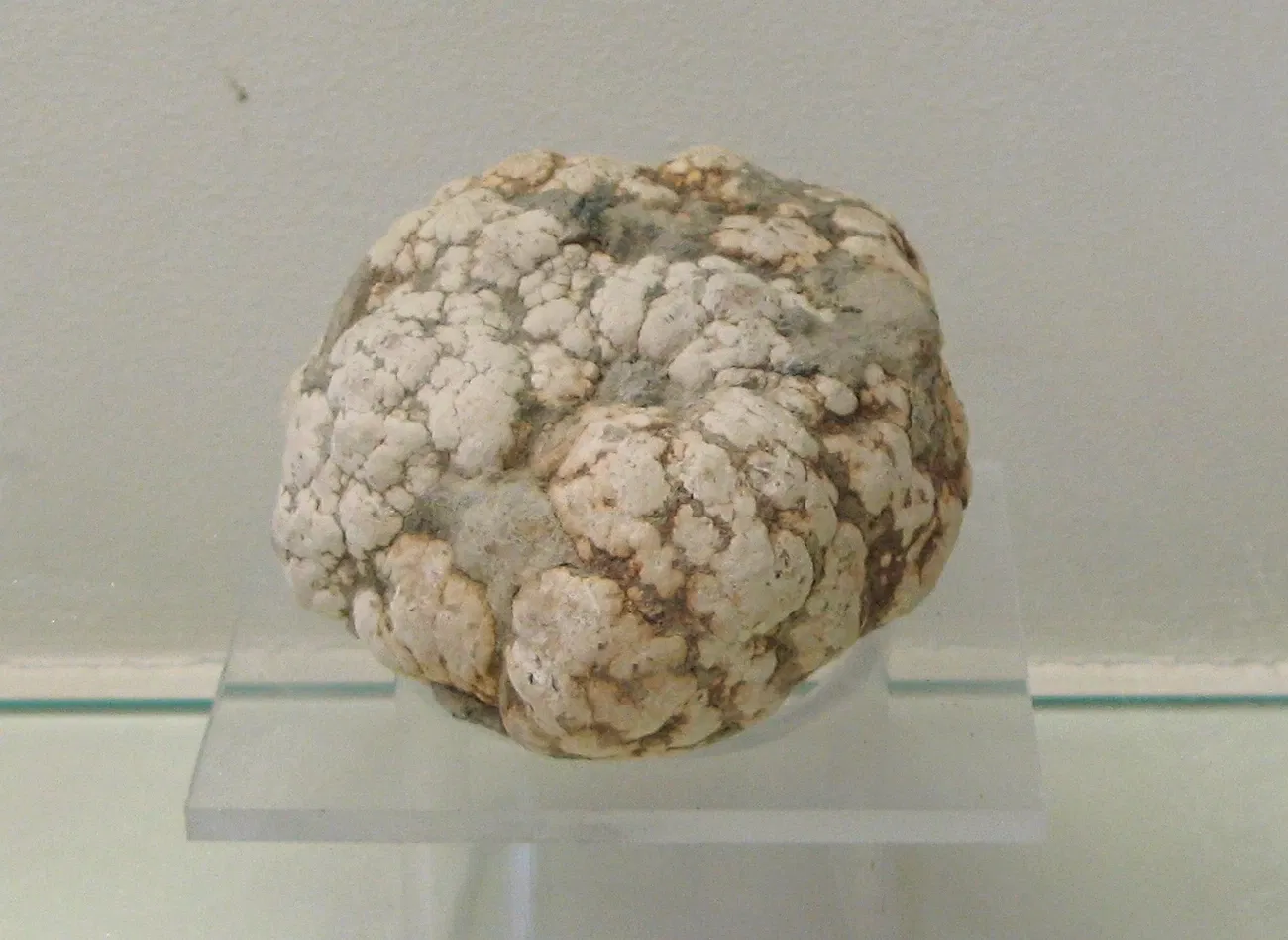 Mineralogisches Museum der Universität Bonn