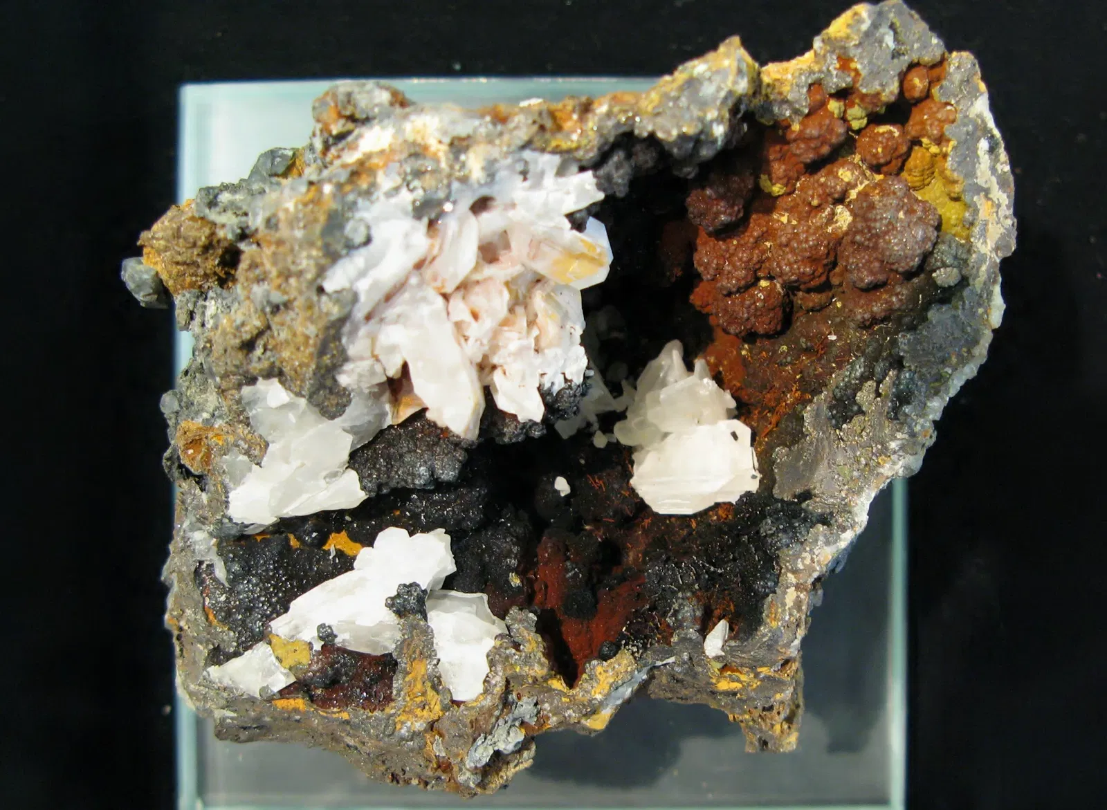 Mineralogisches Museum der Universität Bonn