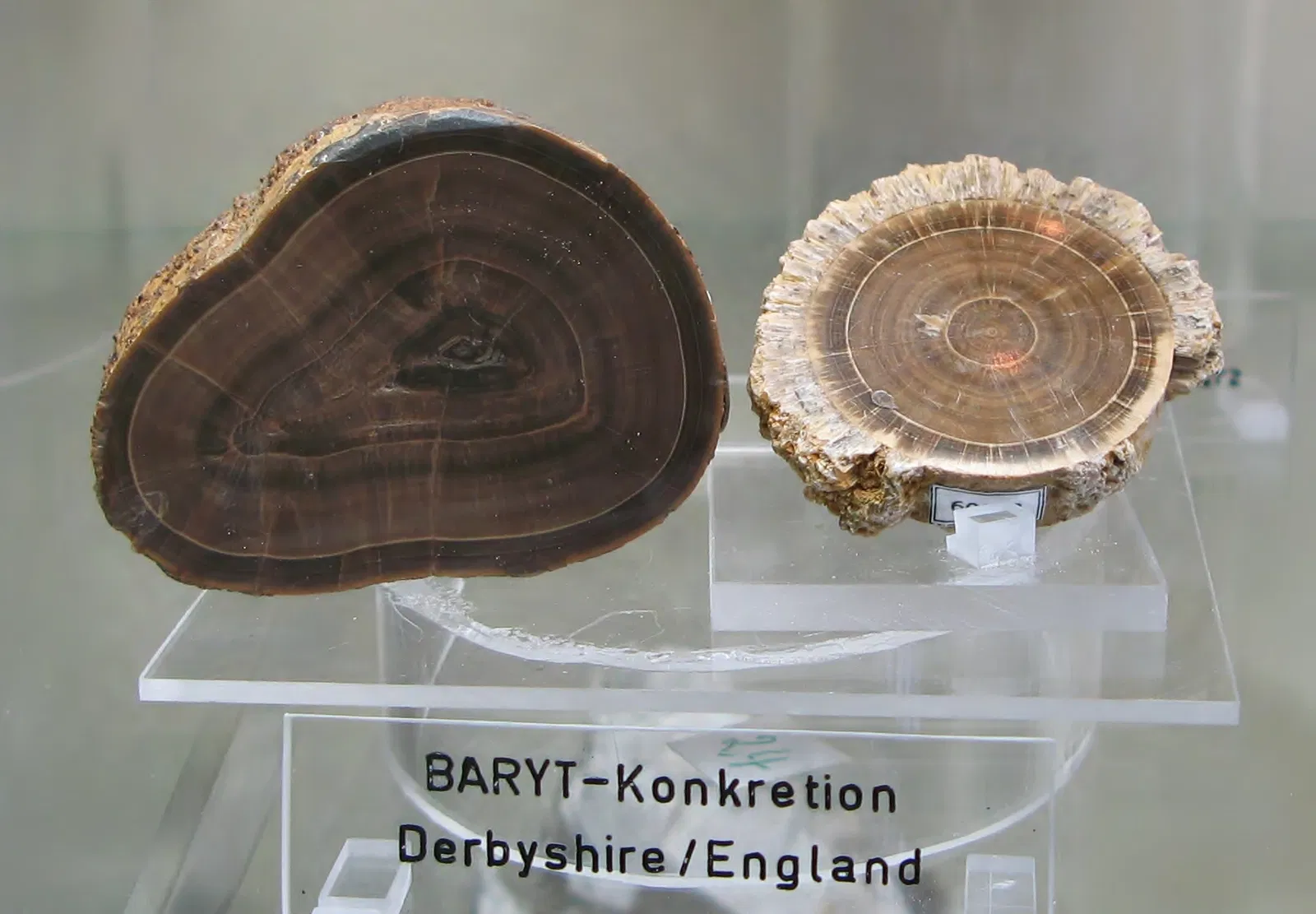 Mineralogisches Museum der Universität Bonn