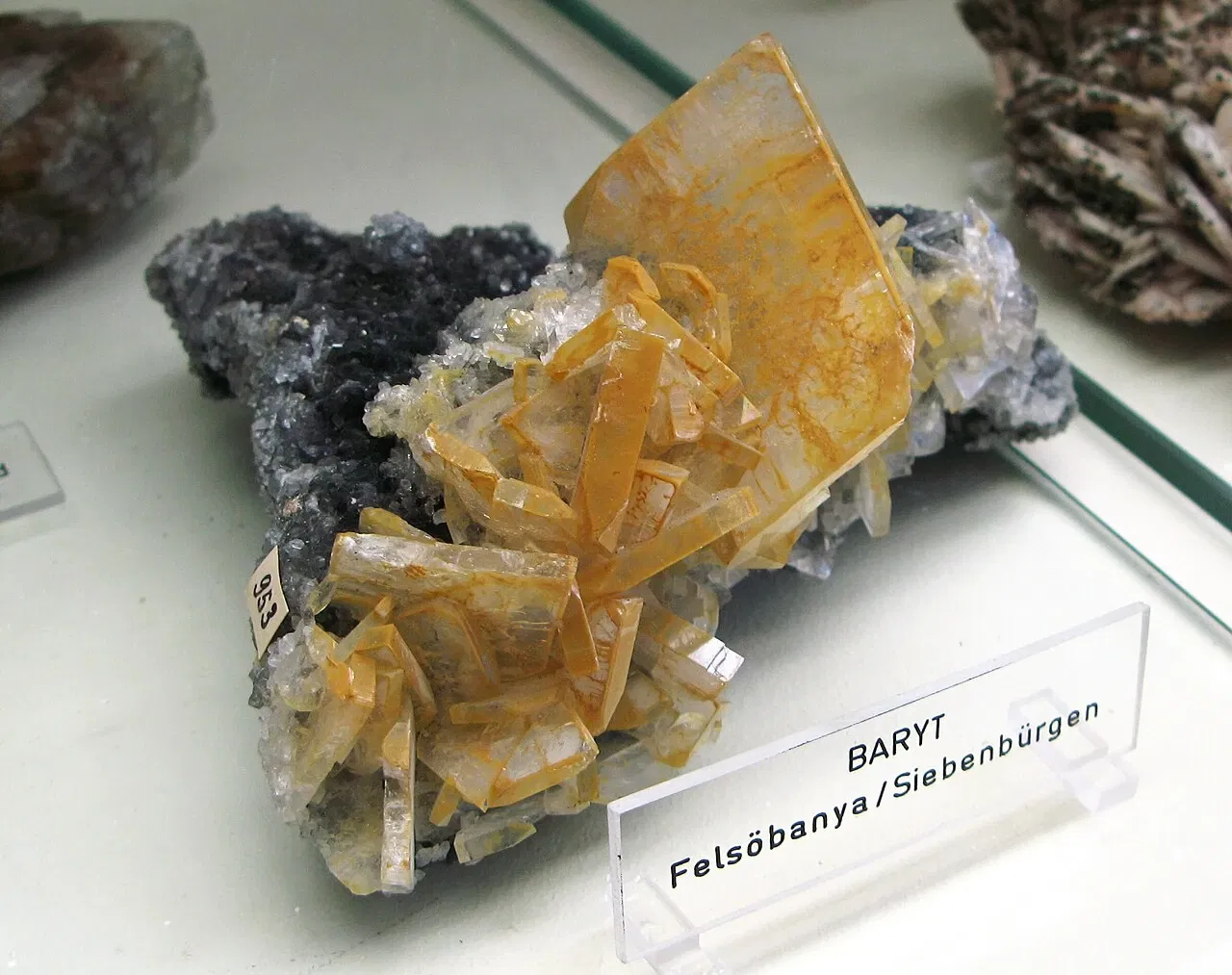 Mineralogisches Museum der Universität Bonn