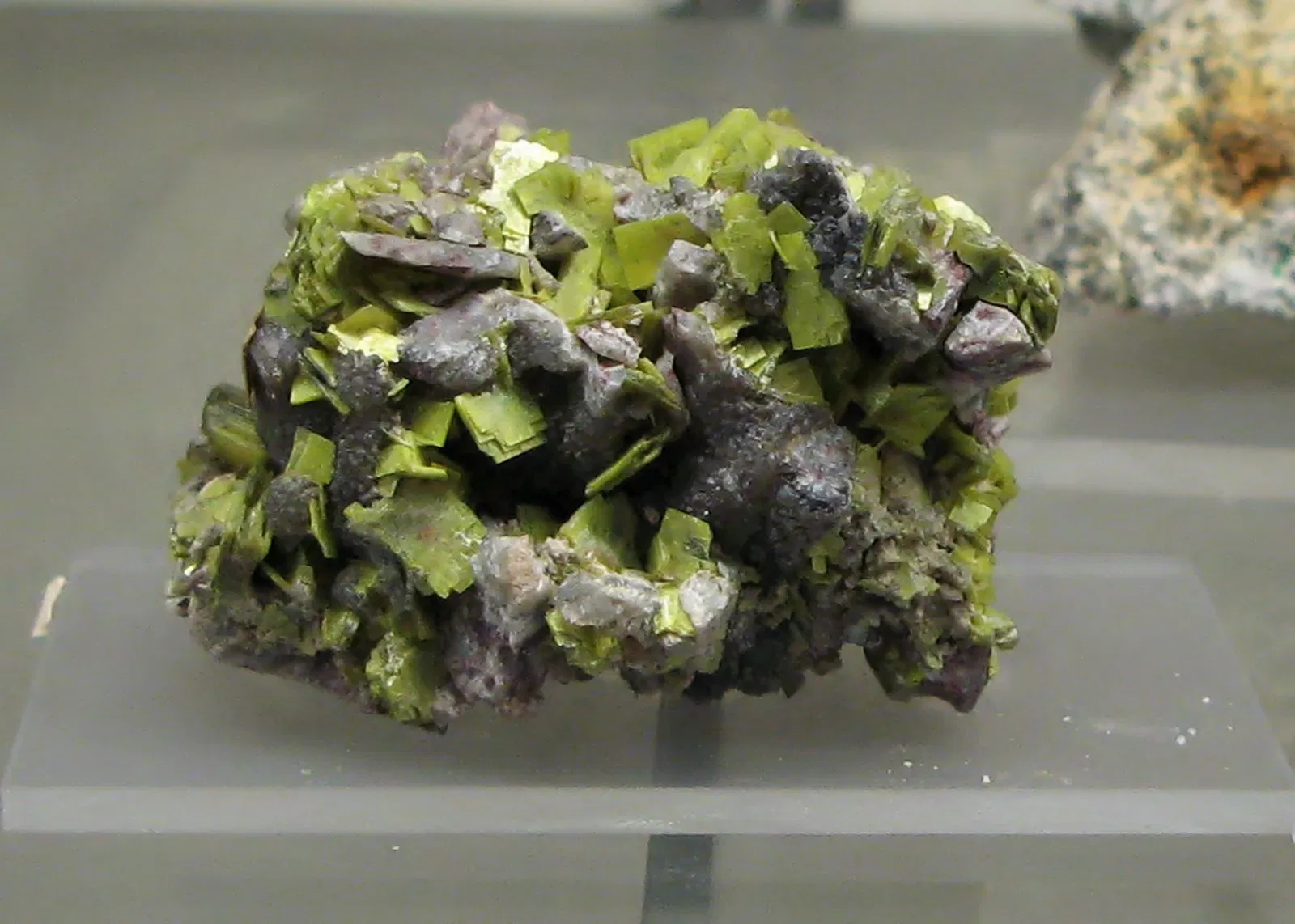 Mineralogisches Museum der Universität Bonn