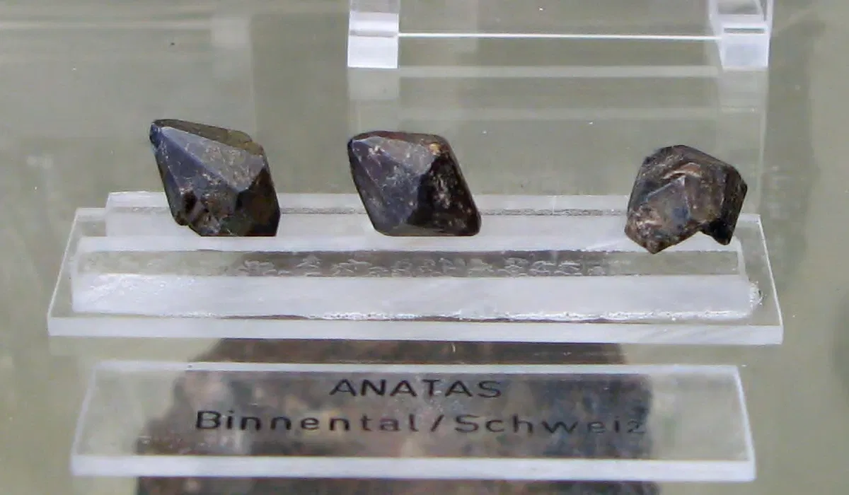 Mineralogisches Museum der Universität Bonn