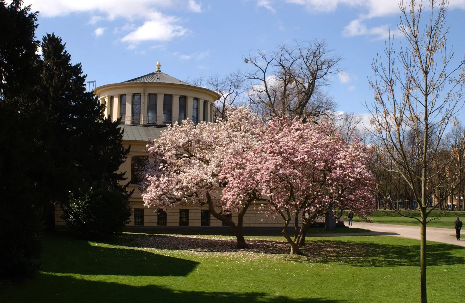 Akademisches Kunstmuseum