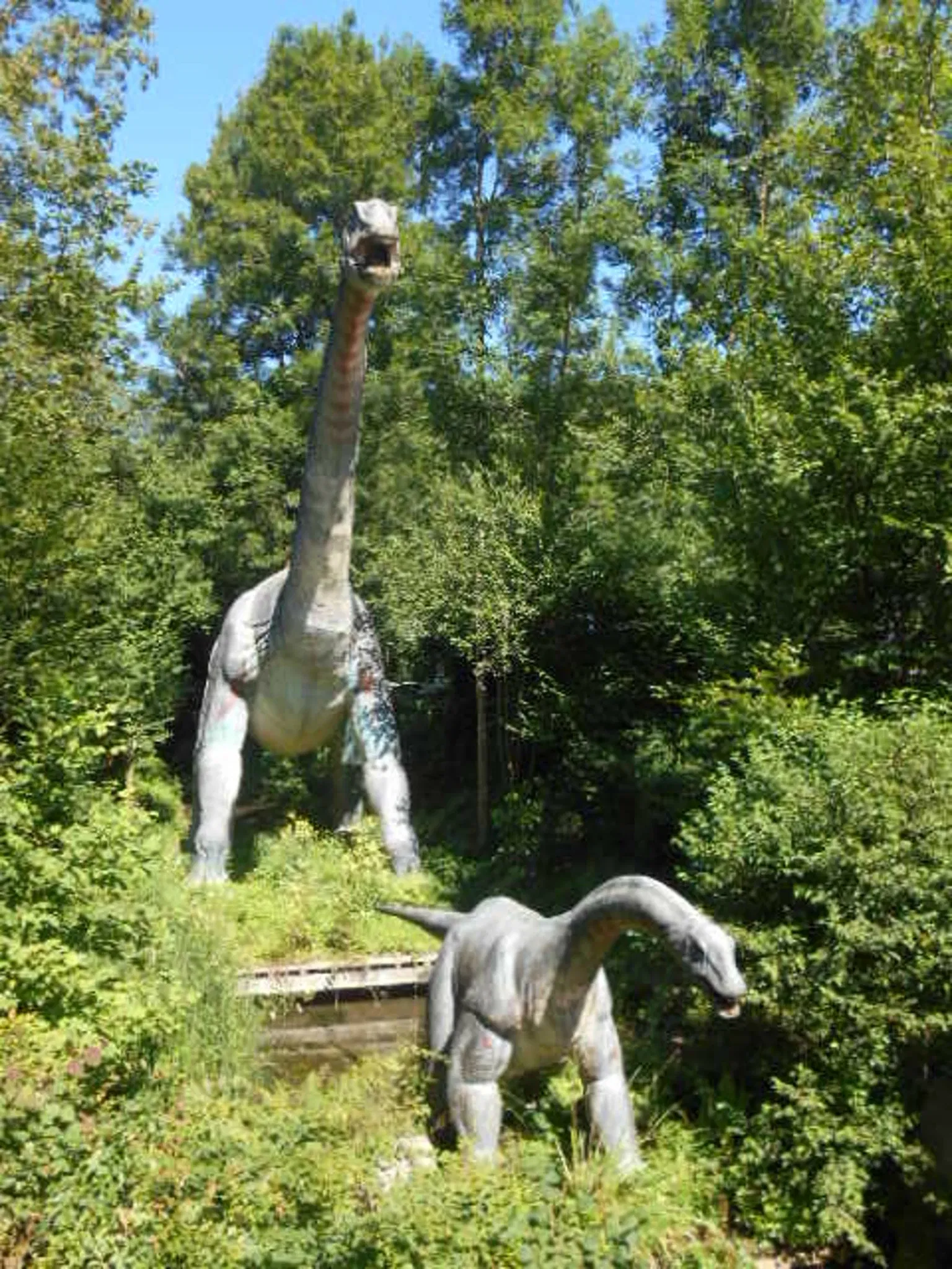 Aathal Dinosaur Museum