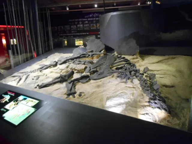 Aathal Dinosaur Museum