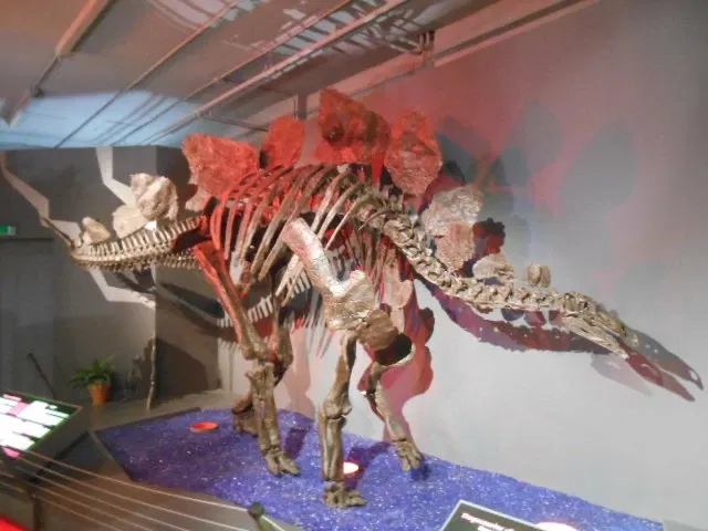 Aathal Dinosaur Museum