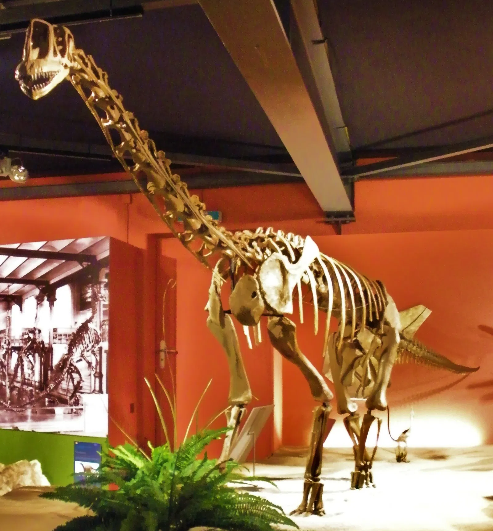 Aathal Dinosaur Museum