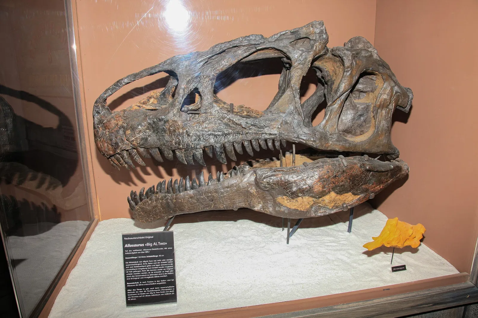 Sauriermuseum Aathal