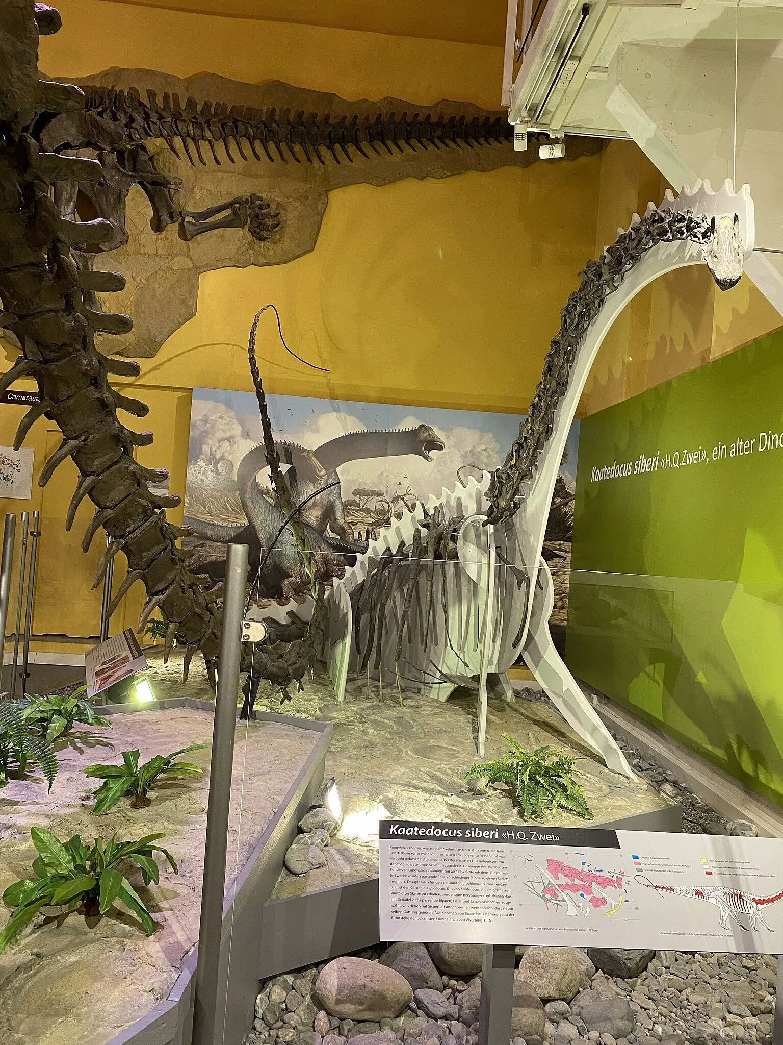 Aathal Dinosaur Museum