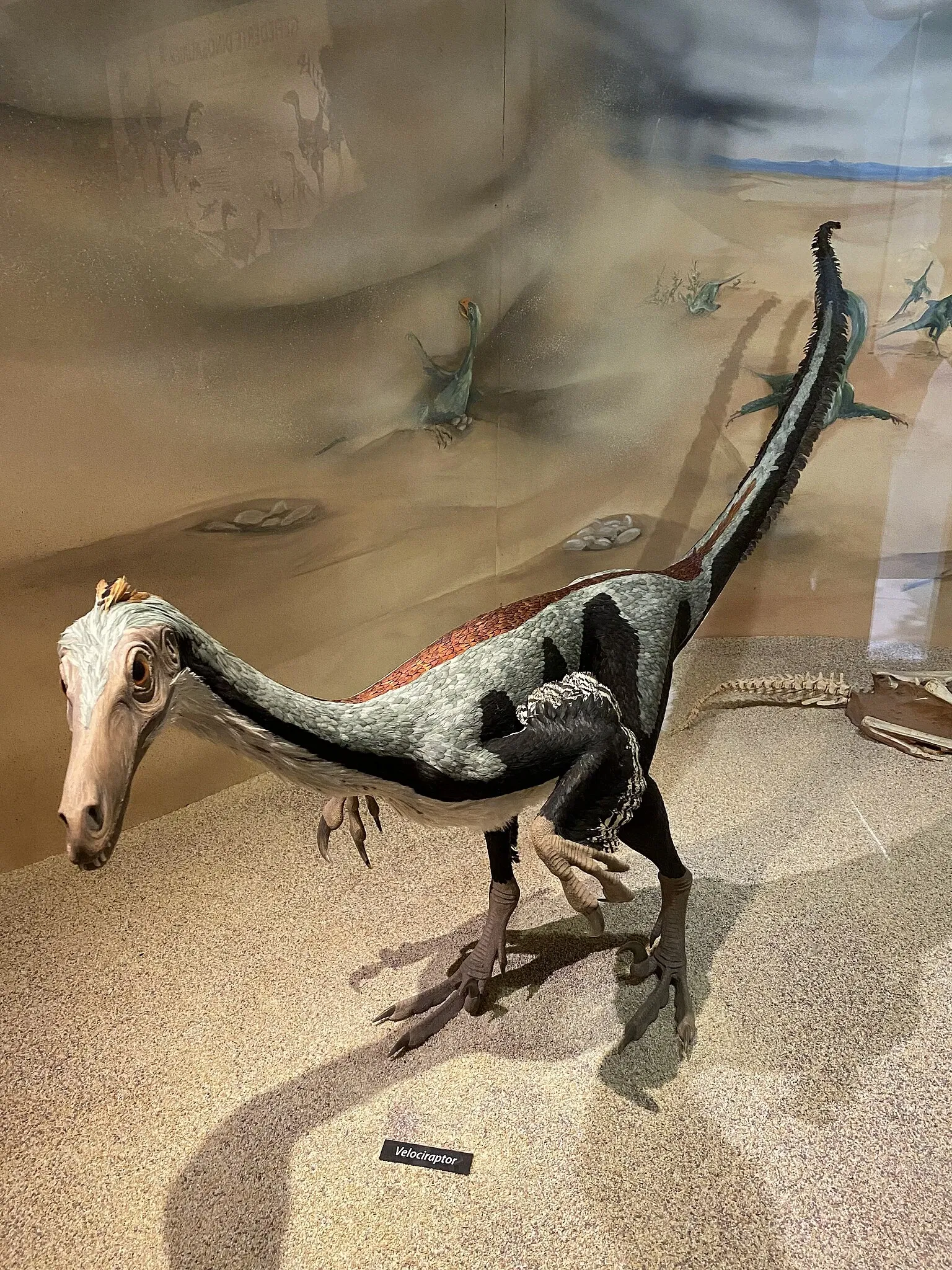 Aathal Dinosaur Museum