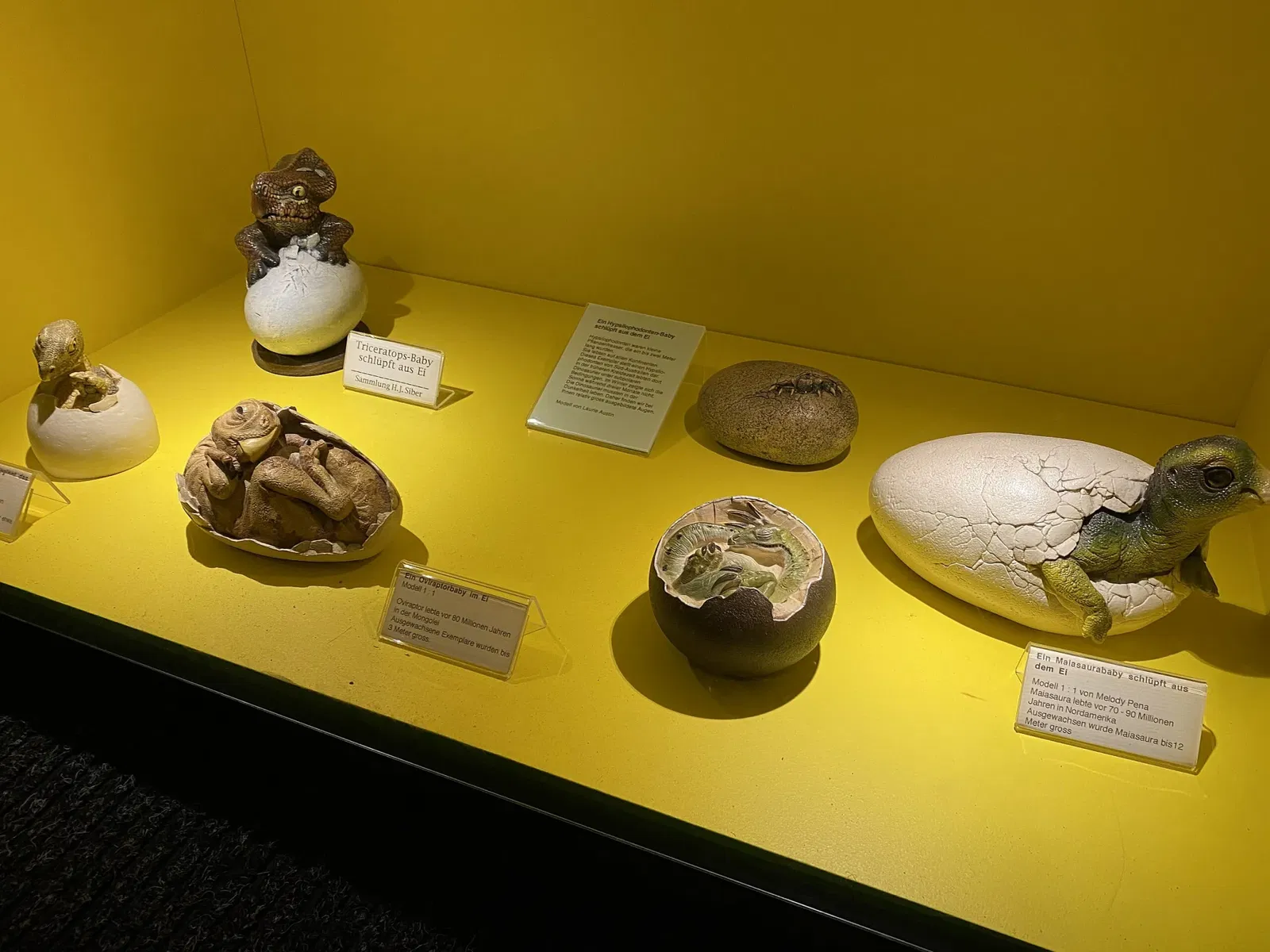 Aathal Dinosaur Museum