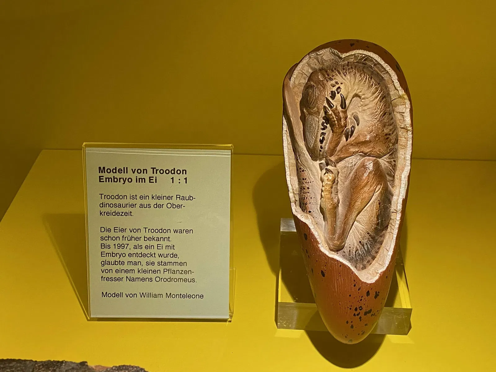 Aathal Dinosaur Museum