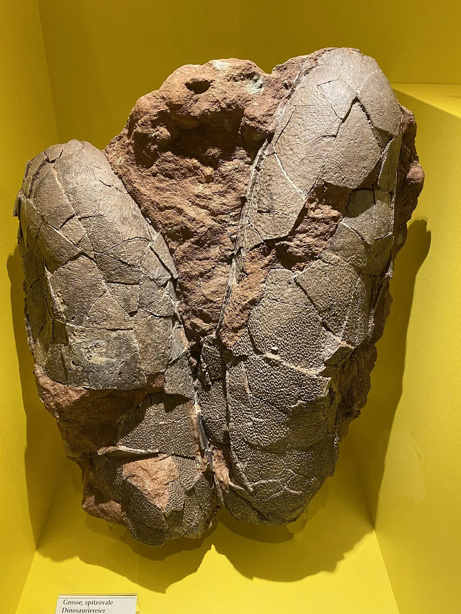 Aathal Dinosaur Museum