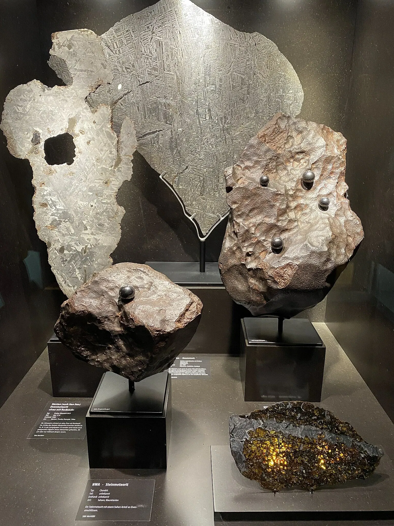 Aathal Dinosaur Museum