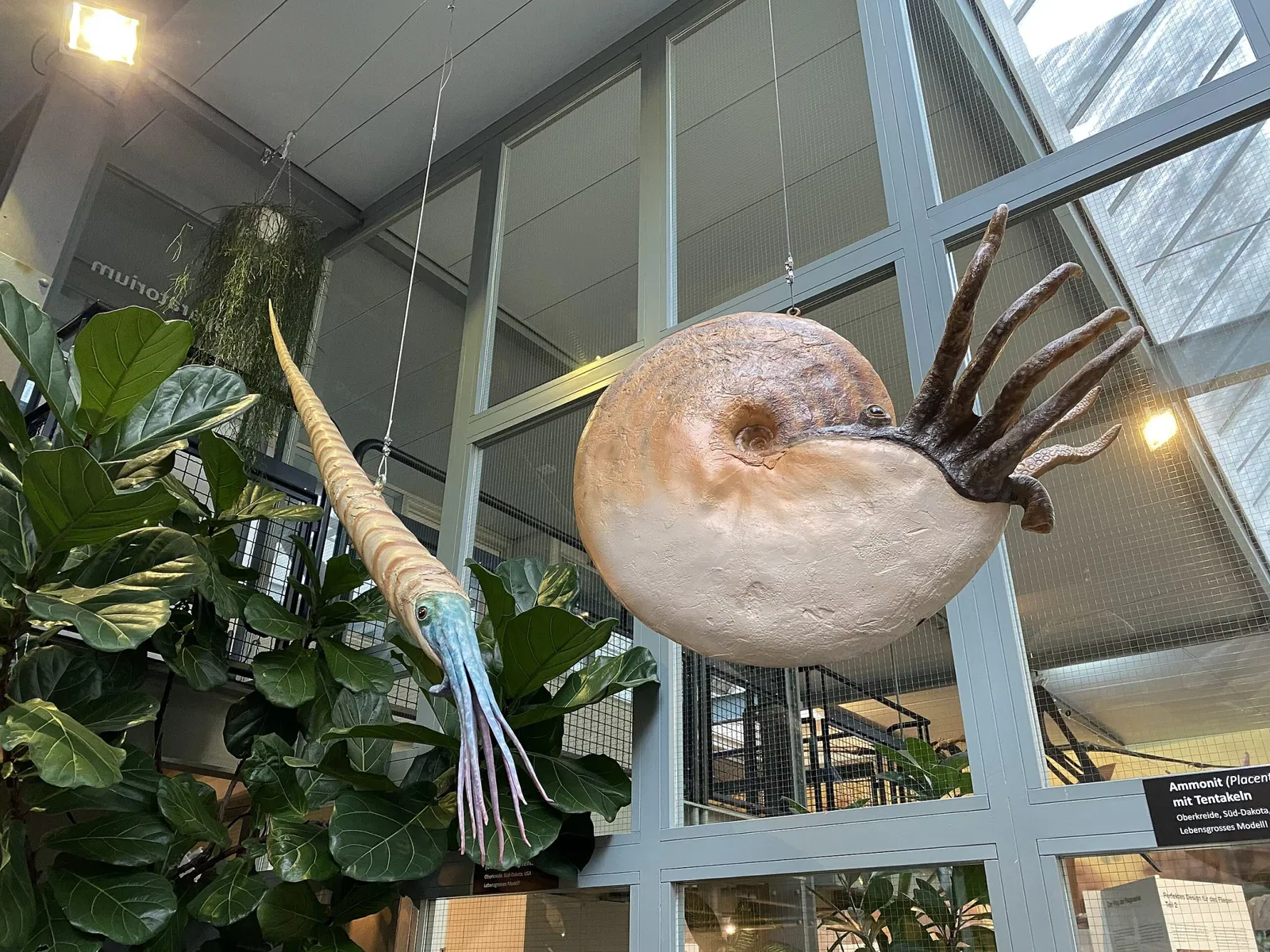 Sauriermuseum Aathal