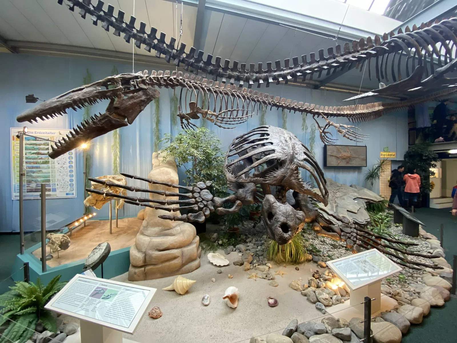 Aathal Dinosaur Museum