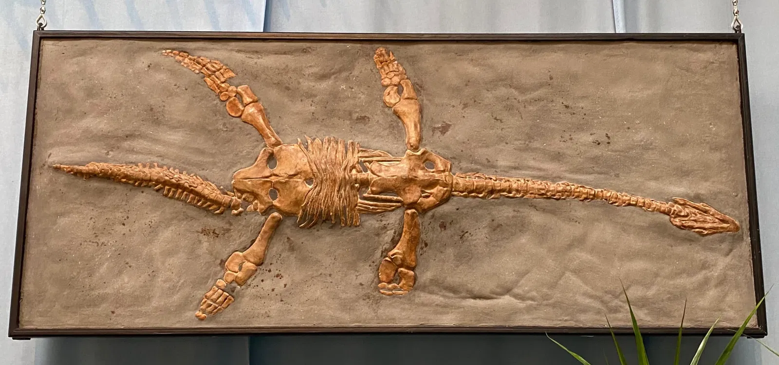 Aathal Dinosaur Museum