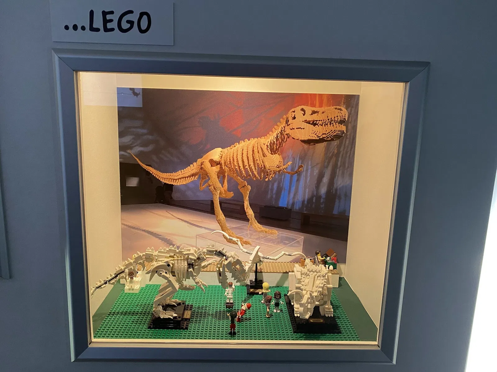 Aathal Dinosaur Museum