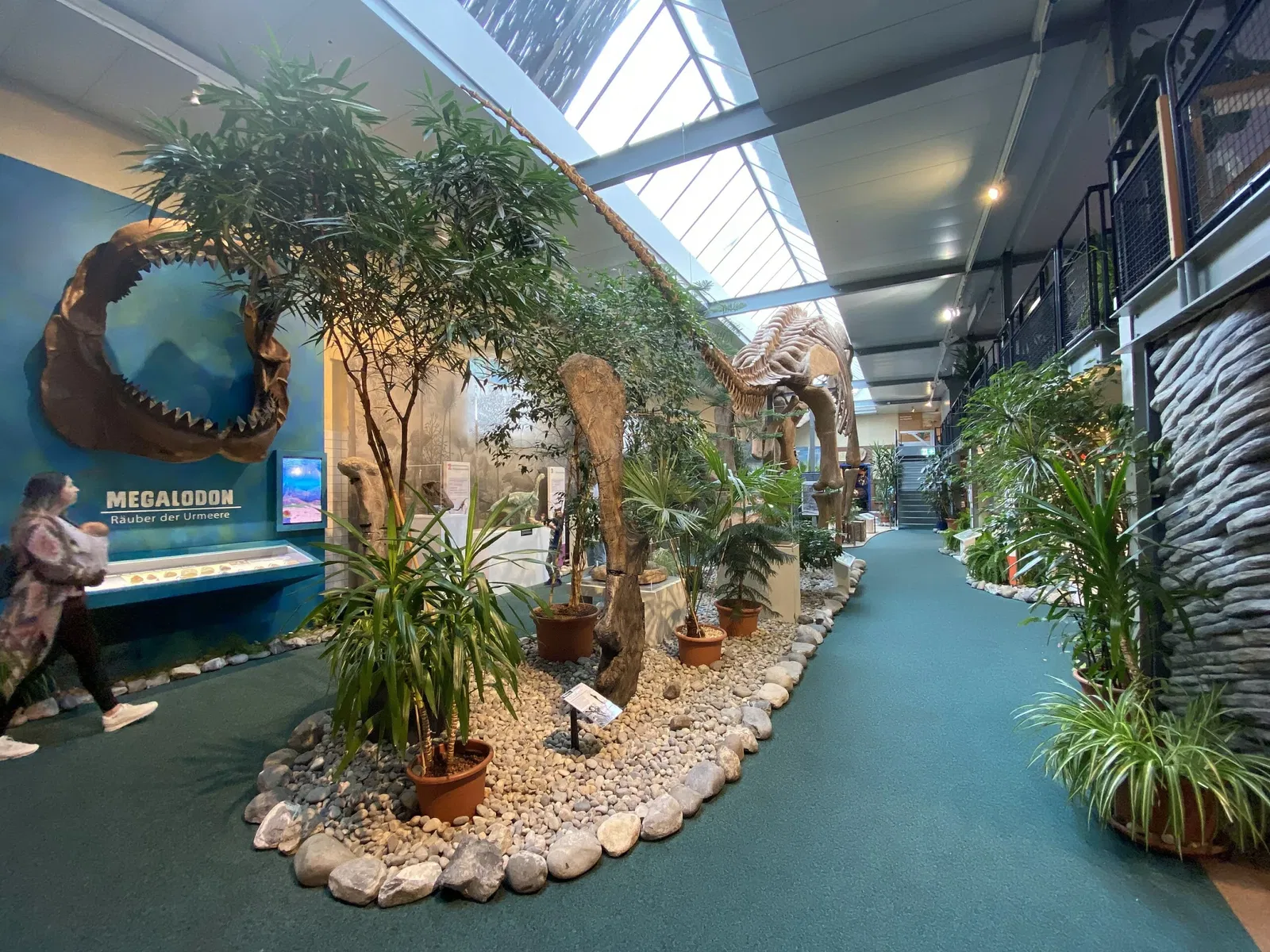 Aathal Dinosaur Museum