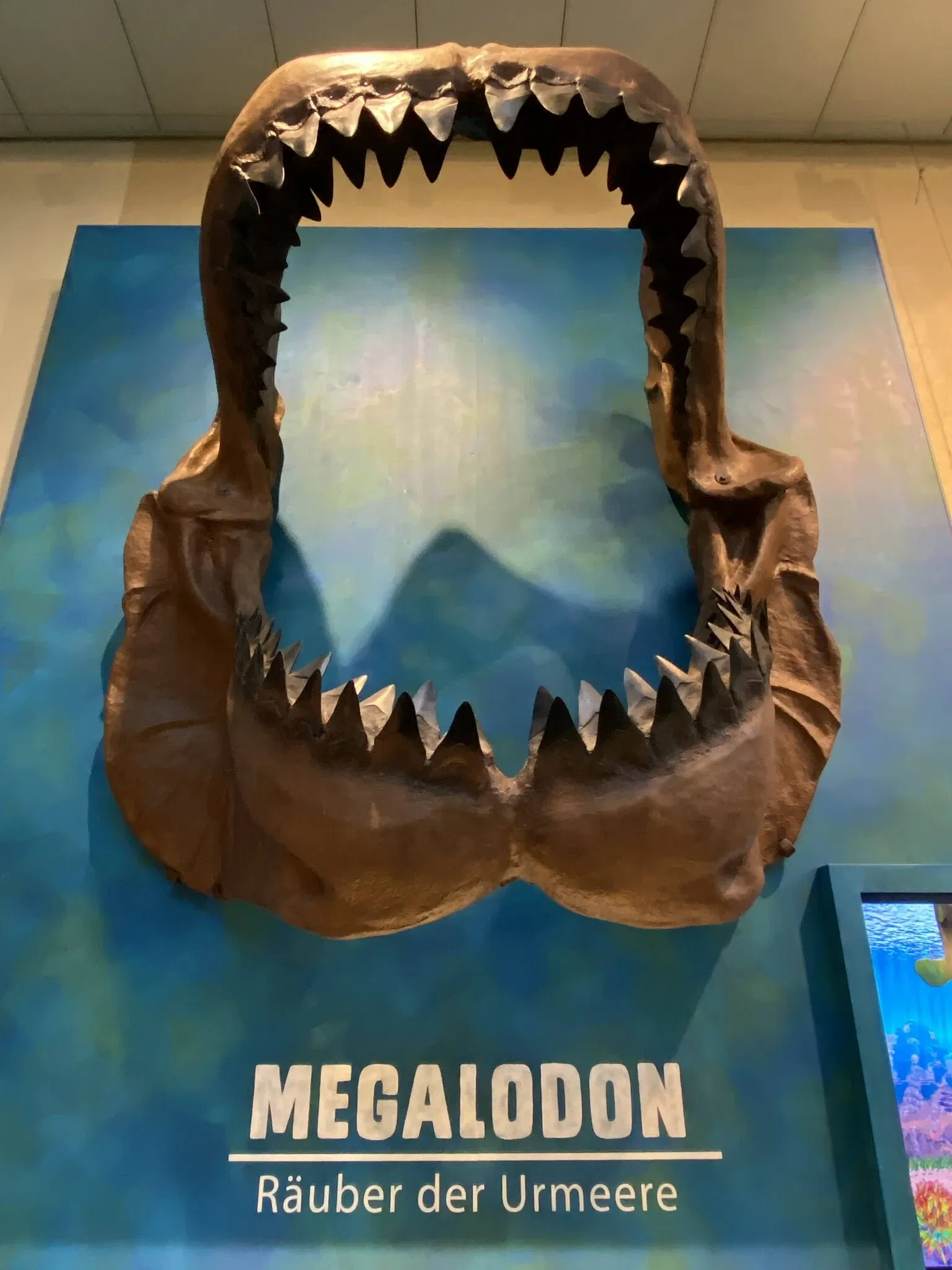 Aathal Dinosaur Museum