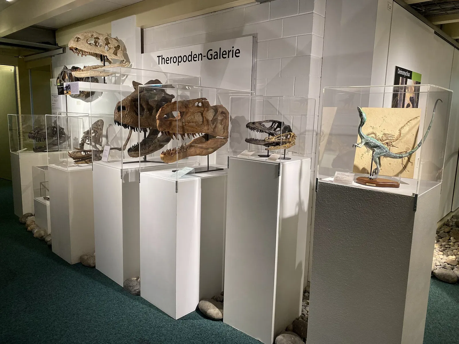 Aathal Dinosaur Museum