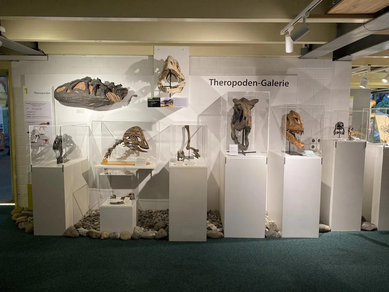 Aathal Dinosaur Museum