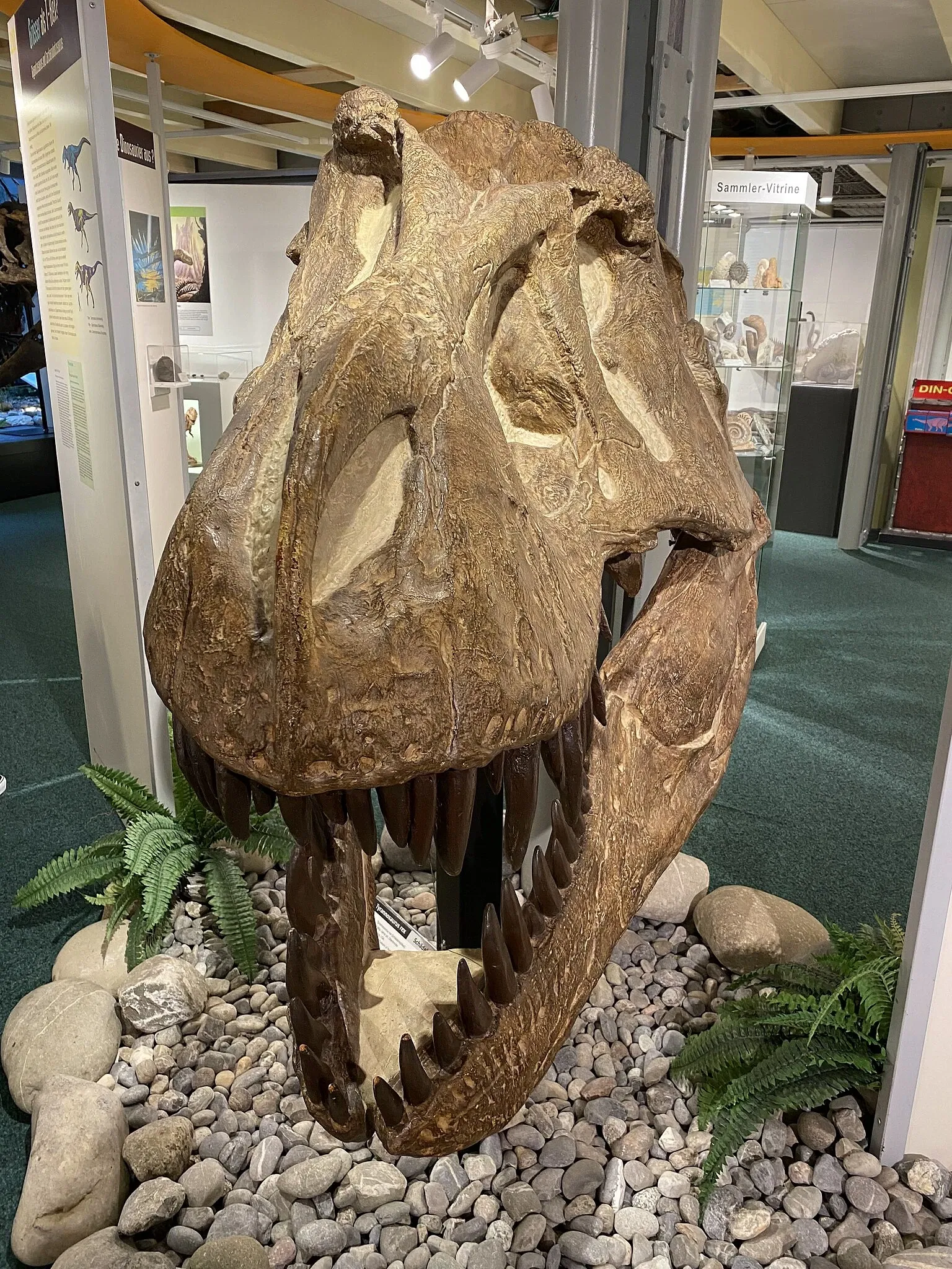 Aathal Dinosaur Museum